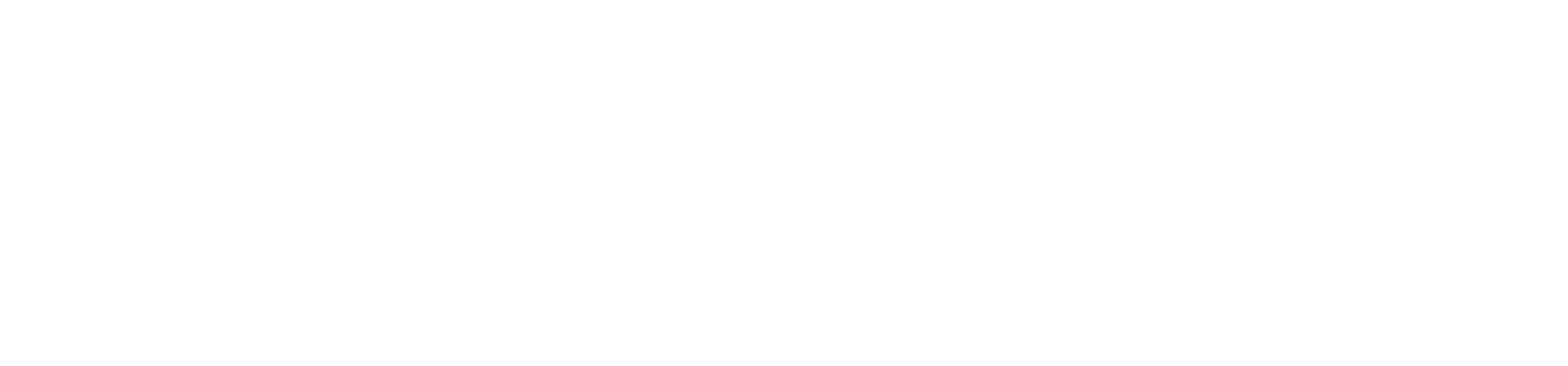 AUTO4